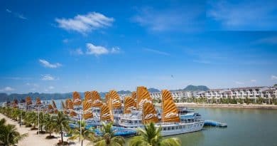 Halong Bay Daily Tours price